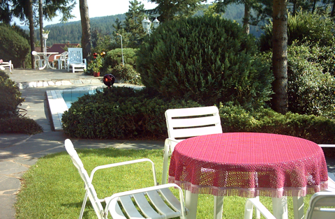 Tisch mit vier Stühlen im Garten zugehörig zur Ferienwohnung 2